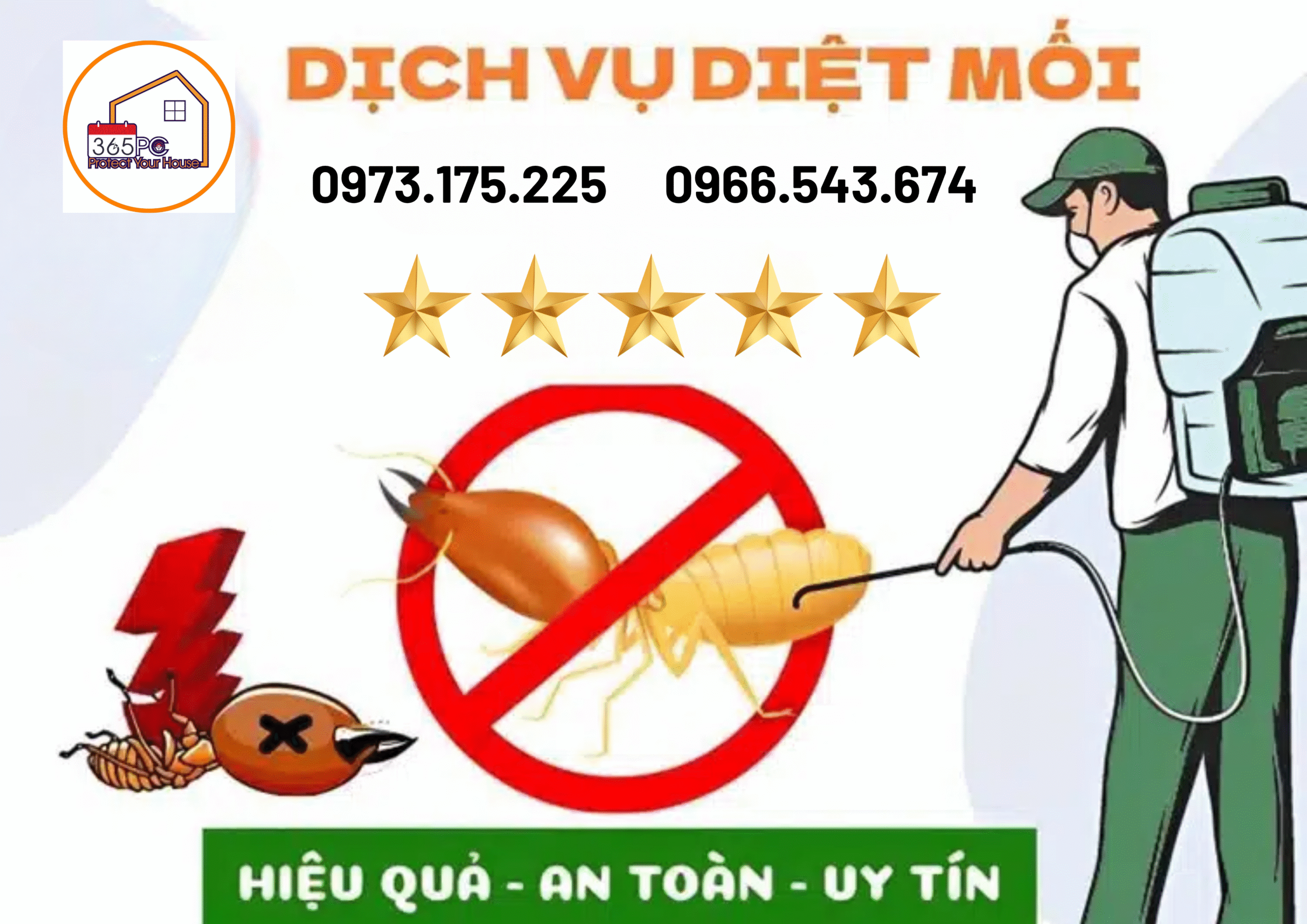 Chi phí diệt mối tận gốc hiện nay