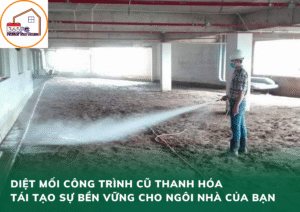 Diệt mối công trình cũ Thanh Hóa